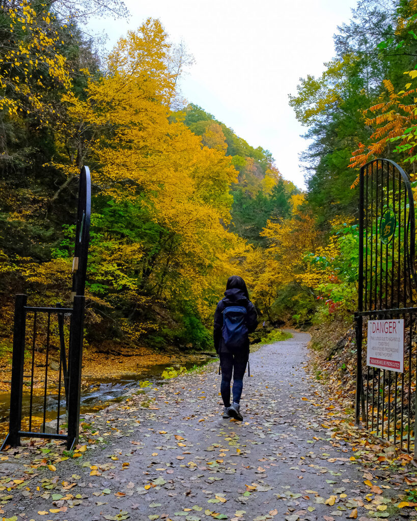 New York’s Finger Lakes Itinerary: A Hiking And Wine Country Road Trip ...